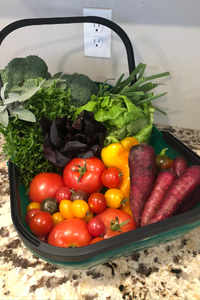 Thumbnail for Colander Trug Harvest Basket
